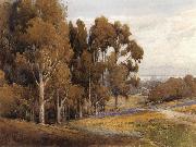 unknow artist A Grove of Eucalyptus in Spring oil